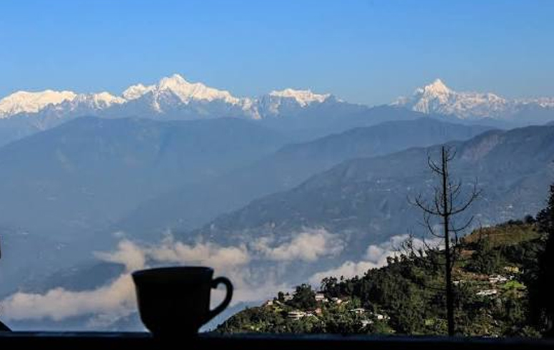 Best Homestay, Best Hotel, Best offbeat location in Delo Park, Daragaon, Dalapachan Khasmahal, Ramdhura, Icche Gaon, Burmaik, Sillery Gaon, Kalimpong