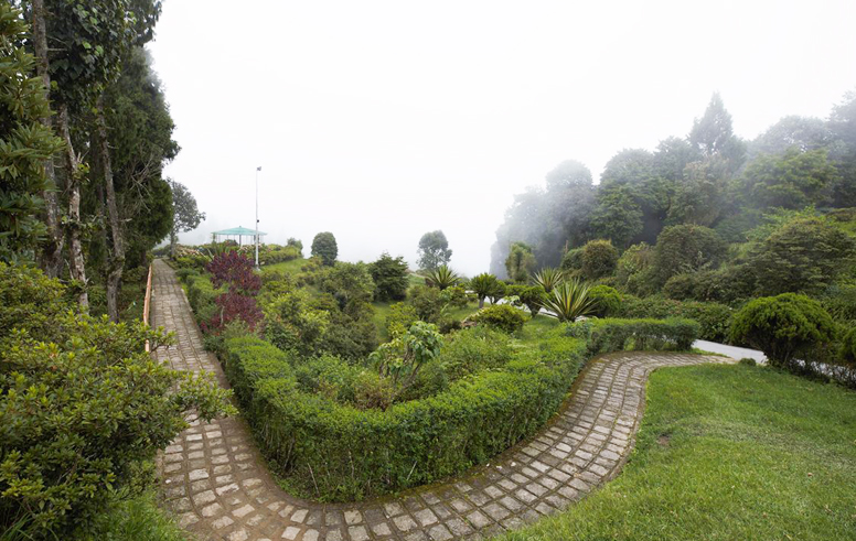 Best Homestay, Best Hotel, Best offbeat location in Delo Park, Daragaon, Dalapachan Khasmahal, Ramdhura, Icche Gaon, Burmaik, Sillery Gaon, Kalimpong