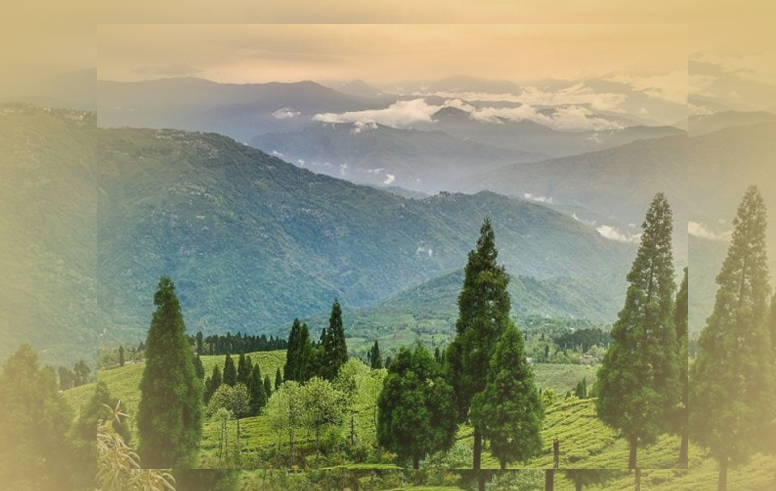 Best Homestay, Best Hotel, Best offbeat location in Delo Park, Daragaon, Dalapachan Khasmahal, Ramdhura, Icche Gaon, Burmaik, Sillery Gaon, Kalimpong